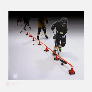 Sidelines Weighted Pylon Training System