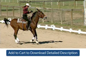Training Tip - #077 Simple and Flying Lead Changes