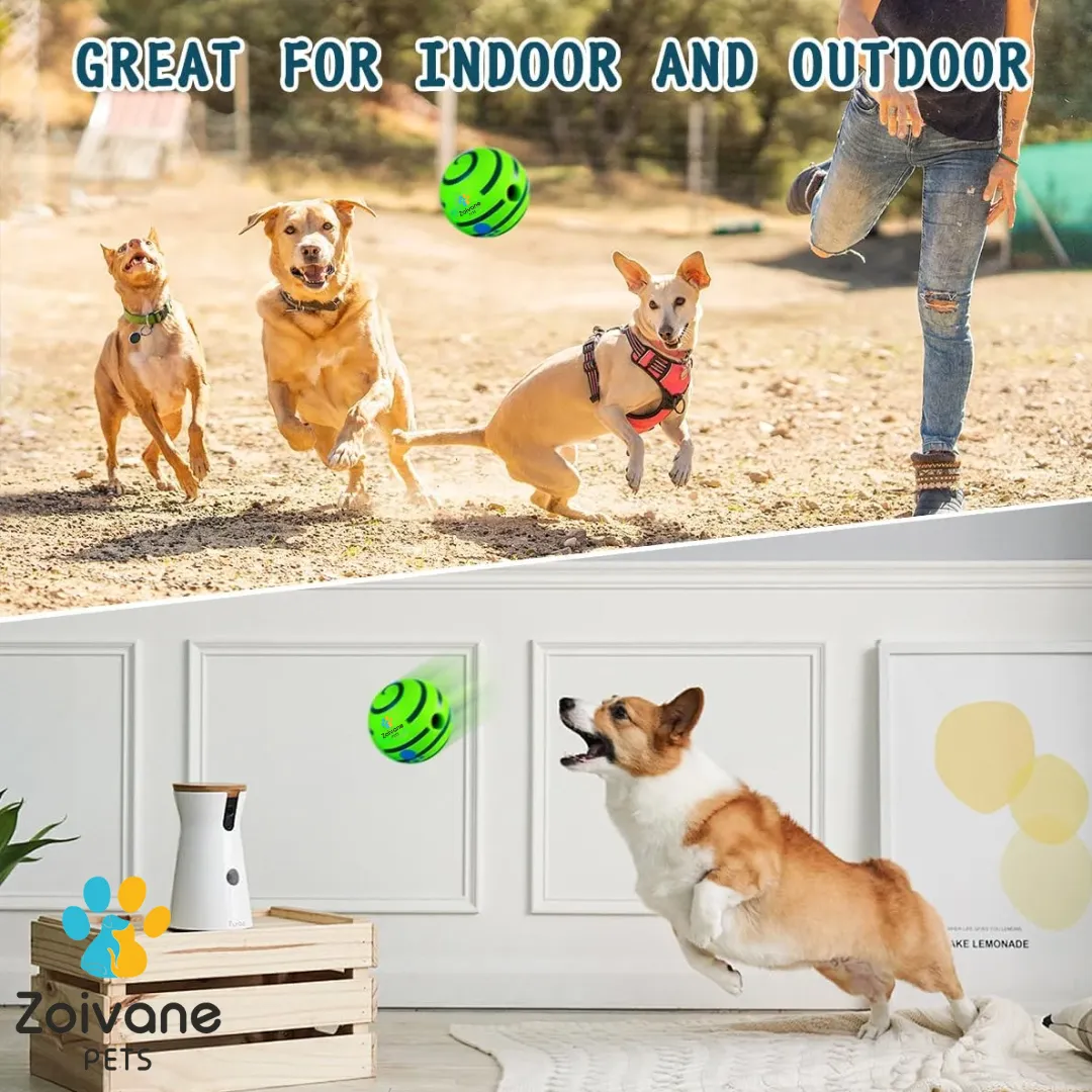 Zoivane Pets Interactive Green Ball For Dogs