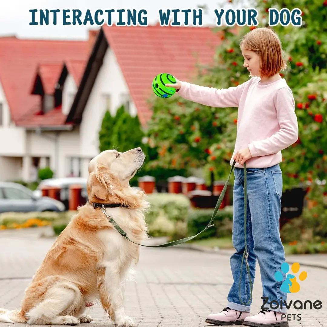 Zoivane Pets Interactive Green Ball For Dogs