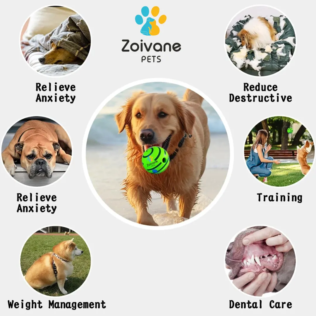 Zoivane Pets Interactive Green Ball For Dogs